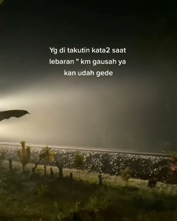 STORY WA 30 DETIK TERBARU || KAN UDAH GEDE:)