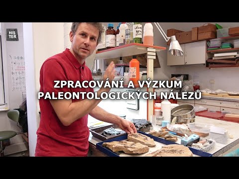 Video: Unikátní muzeum zábavných věd 