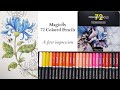 Magicfly 72 Colored Pencils - A first impression