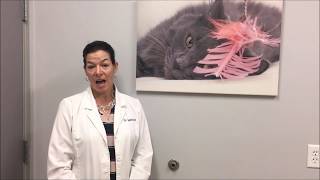 Cat Adoption PVC