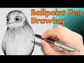 Drawing In Ballpoint Pen