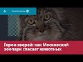 Как ветштаб Московского зоопарка спасает животных — Москва FM