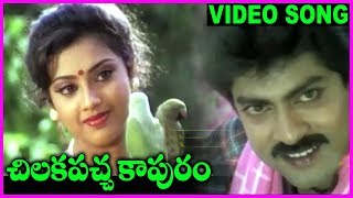 Chilakapacha Kapuram - Telugu Super Hit Video Song - Jagapathi Babu, Meena, Soundarya