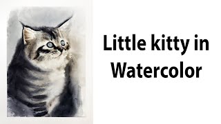 Kitty in watercolor. How to paint realistic animals.