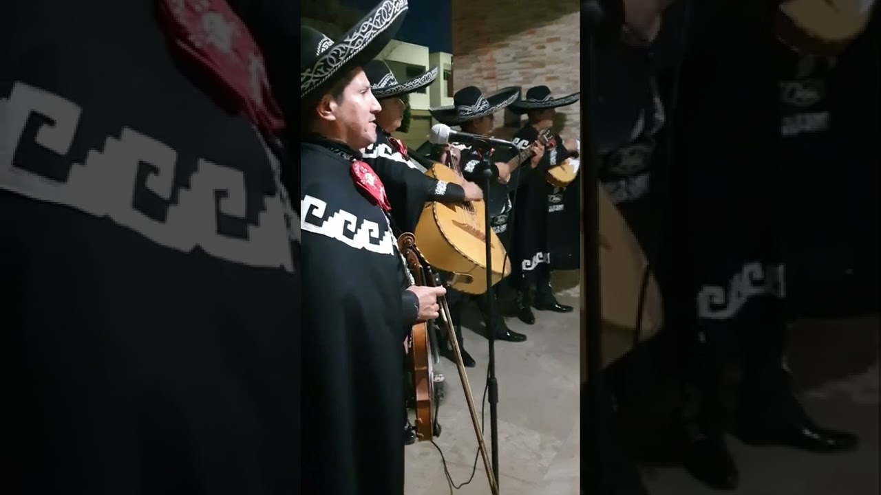 Esclavo y amo - Mariachi De Gala