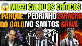 🔥PEDRINHO PROPOSTAS🎡PARQUE DO GALO💰MUZZI CALA CRITICOS🐔 SUPER GALO⚽ZARACHO GRAVE ATLÉTICO NOTÍCIAS