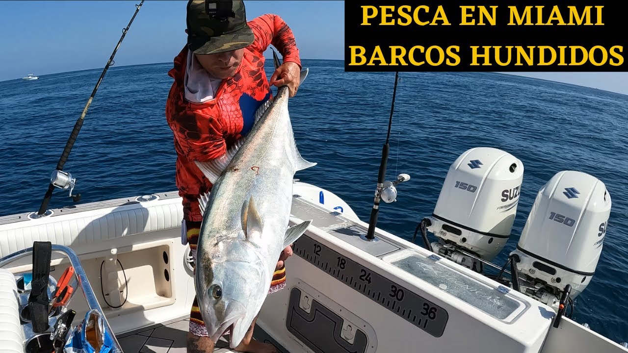expedición En el piso cable Peleas Intensas con Monstruos Marinos, Pesca en Miami en Barcos Hundidos! -  YouTube