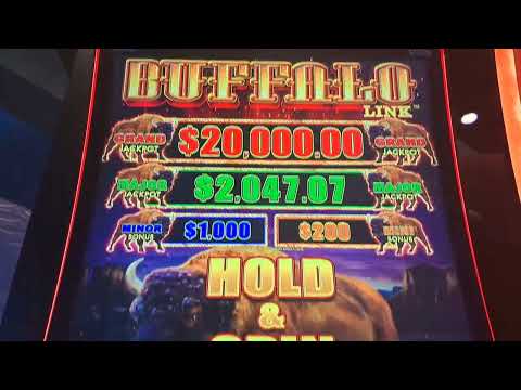I Put $25 on Green Every Spin DID I HIT TODAY???… 😳 #roobet #casino #vr