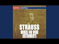 Miniature de la vidéo de la chanson Sonatina “Fröhliche Werkstatt” In E-Flat Major, O. Op. Av 143: I. Allegro Con Brio