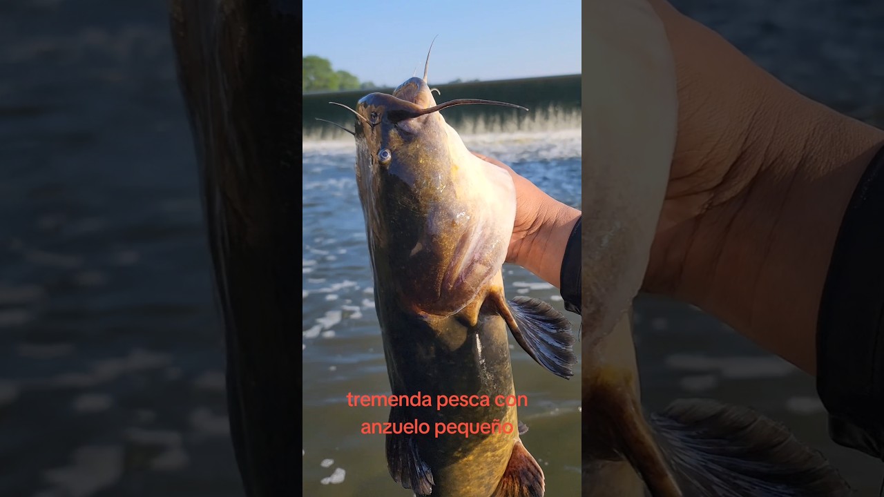 mini anzuelo pesca enorme