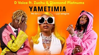 D voice Ft. Zuchu & Diamond Platnumz  - The winner ( Official video )