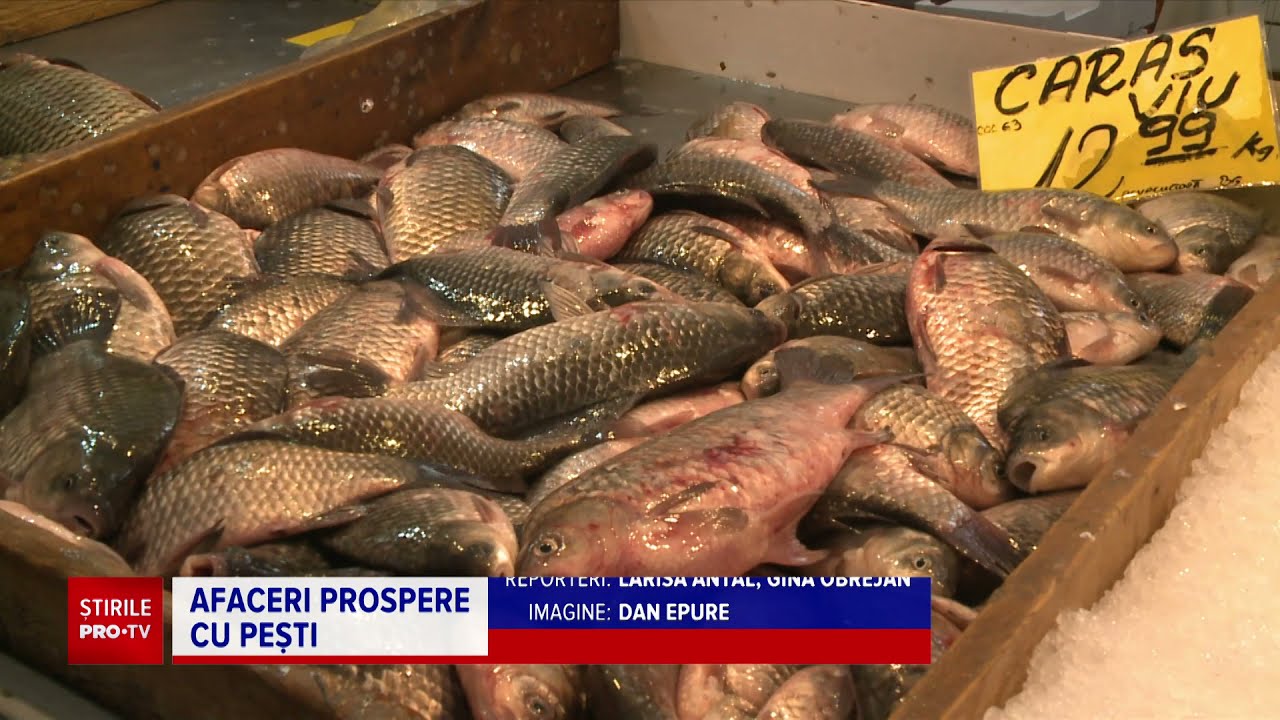 Fermele piscicole, tot mai populare în România. UE pune la bătaie fonduri