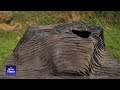 Exhibition: On Terraced Earth