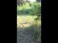 20150825 190337