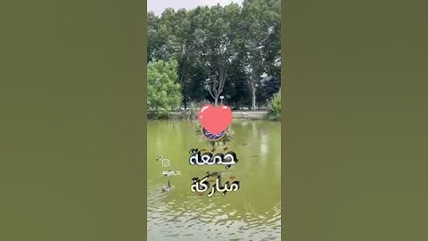 جمعة مباركة #اكسبلور ##القران الكريم.##اكتب شيء تؤجر عليه.