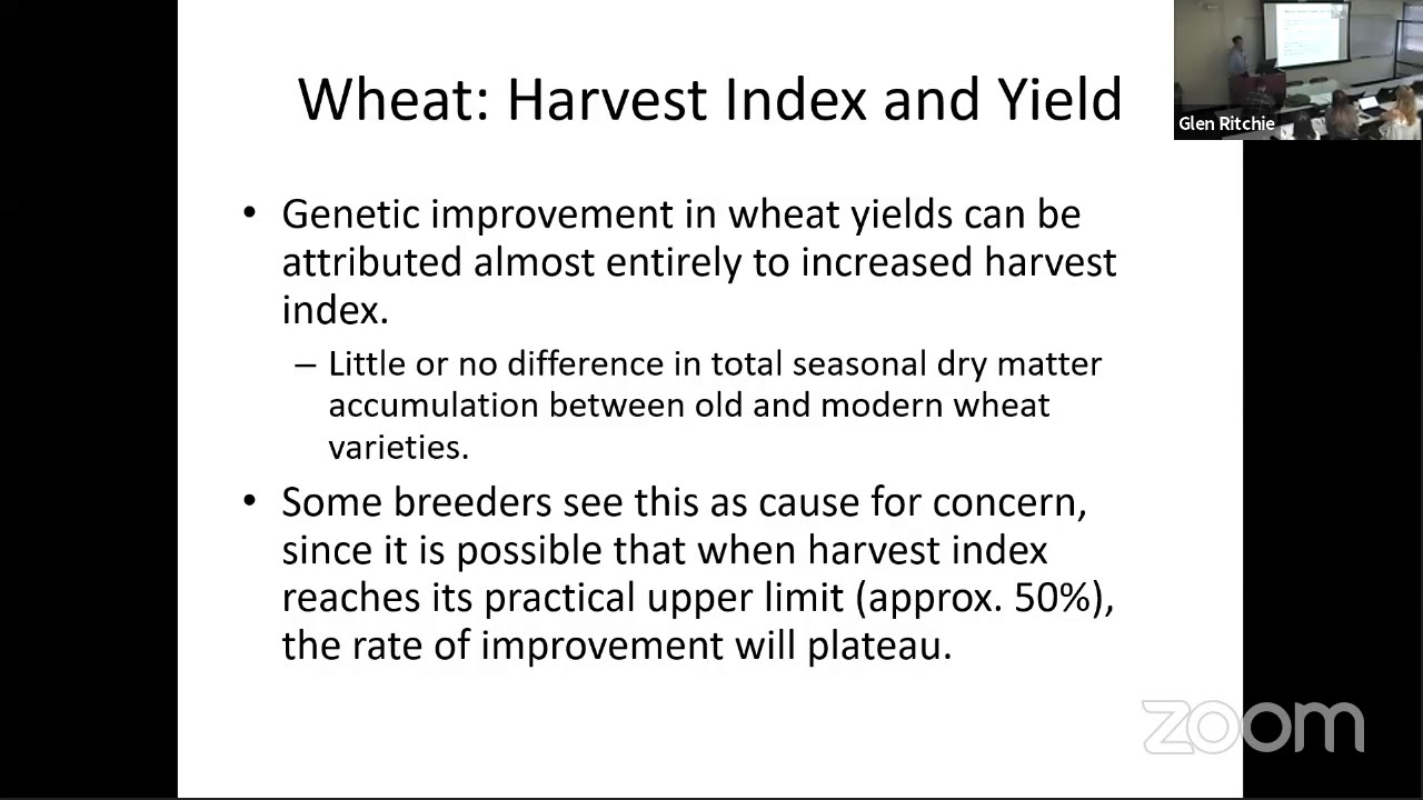 Yield Equation 10/20/21