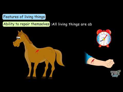 Characteristics of Living Things | Science | Grade-7,8| Tutway |