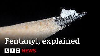 Fentanyl Why Are So Many Americans Dying From Synthetic Opioids? - Bbc News