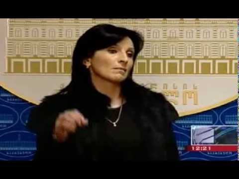 საკრებულოს ბრიფინგი კრწანისის გამგეობაში აღმოჩენილი დაღვევების შესახებ