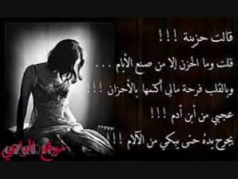 اغنيه مش هبكى تانى هذا الى قلبى الصقر لأيموت