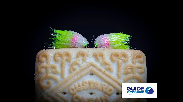 FLIES THAT CATCH FISH Tying The Halo Biscuit Blob