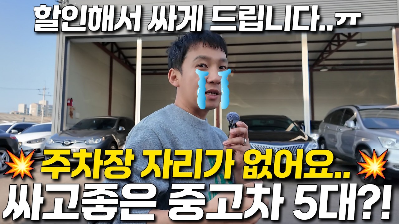 살려주세요,,주차장 터졌습니다..자리가 없어요..경기 너무 안좋네 싸고 좋은 중고차 5대 가져가세요..