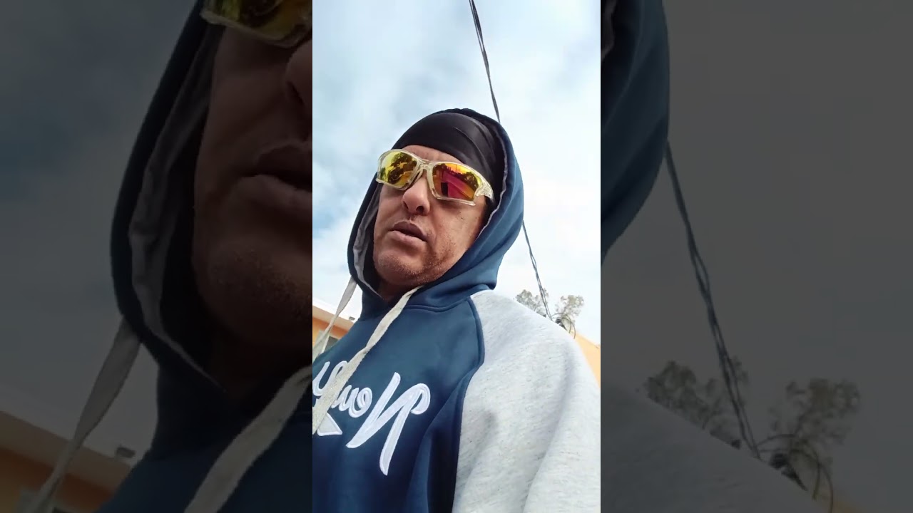 Dinosaurs 🦖, Carnegie hall and the book of Eli