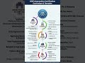 CCIE Automation