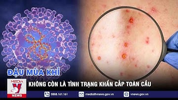 Đậu mùa khỉ không còn là tình trạng khẩn cấp toàn cầu – Tin thế giới – VNEWS