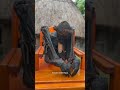 Penemuan mummy di papua #mummy #shortsviral #shortvideo #trendingshorts #viralvideoshorts