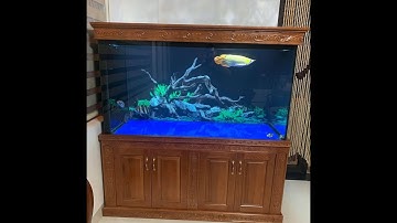 Tranh 3D bể cá cảnh thực tế   Trung3D