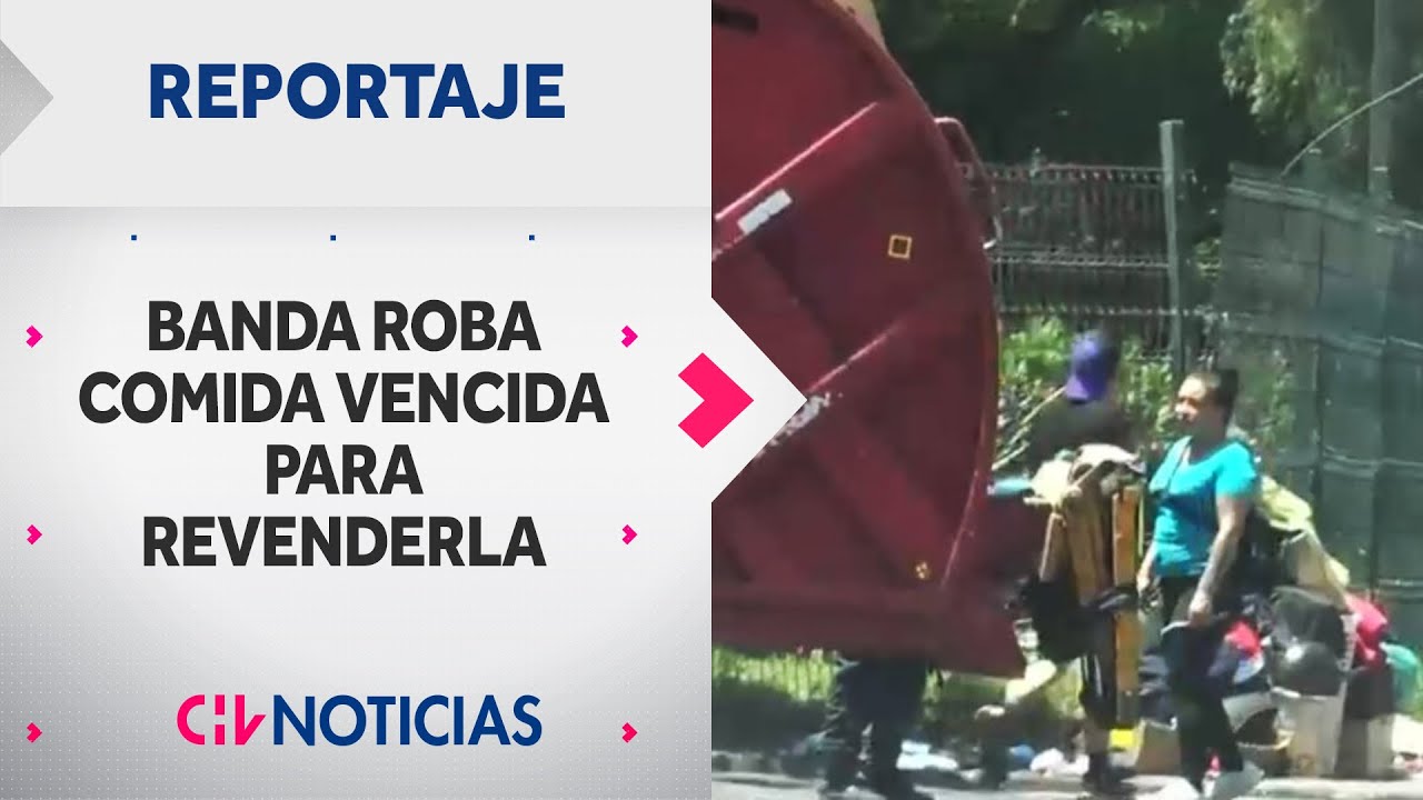 LA BANDA DE LAS MOSCAS: Sujetos roban comida vencida en camiones de basura para venderla | Reportaje