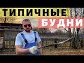 Гуляем по Леруа//Консультации по отоплению//Вырубили и сожгли фруктовый сад//Просто Константиновы.