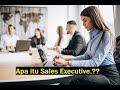 Apa itu Sales Executive.?? | Pengertian Sales Executive