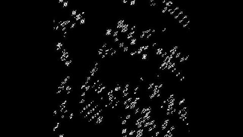 Evolving Cellular Automata