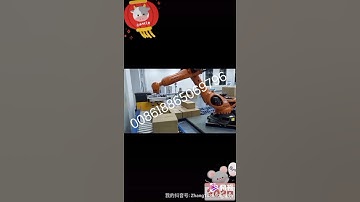 Automatic Robot Palletizer system for carton box