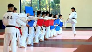 Insane Taekwondo Skills