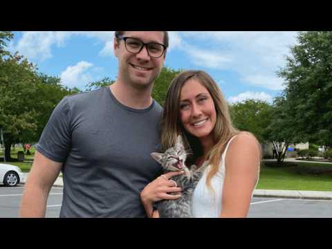 Couple's first cat adoption doesn't go as expected