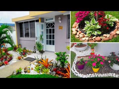 Vídeo: Easy Care Gardening - Aprenda sobre plantas e flores que requerem pouca manutenção