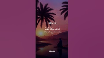 قرآن كريم  سورة العنكبوت #اكسبلور #قرآن #قران_كريم
