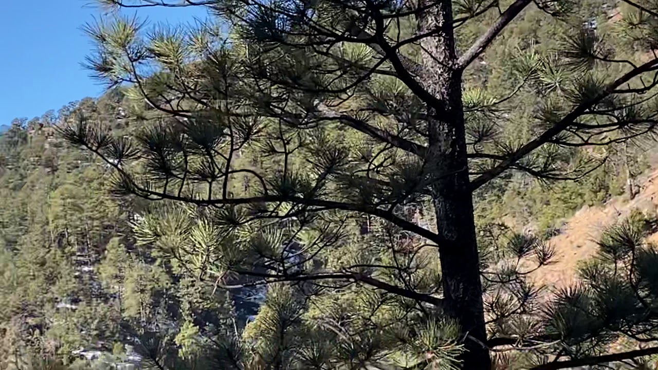 SANTA FE WINTER HIKES 127 CHAMISA Trail YouTube