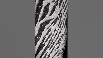 Thumbnail of Adrian Berenguer - October