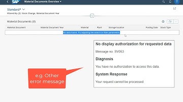 SAP FIORI Authorization Error (APP Support)