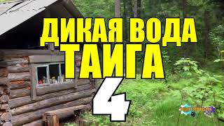 ПРОМЫСЕЛ В ТАЙГЕ | ОХОТА НА ЛЕБЕДЕЙ | СЪЕДОБЕН ЛИ ЛЕБЕДЬ | ПОДРАНОК - ОХОТА НА ГУСЯ 4 ПРОМЫСЕЛ В ТАЙГЕ | ОХОТА НА ЛЕБЕДЕЙ | СЪЕДОБЕН ЛИ ЛЕБЕДЬ | ПОДРАНОК - ОХОТА НА ГУСЯ 4