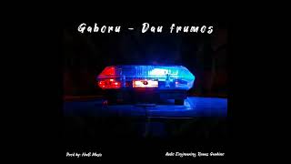Gaboru - Dau Frumos Prod By Hmb Music