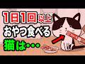 猫におやつを食べさせるときの注意点を獣医師が解説します【猫の食事がわかる本㊱ P122-127】