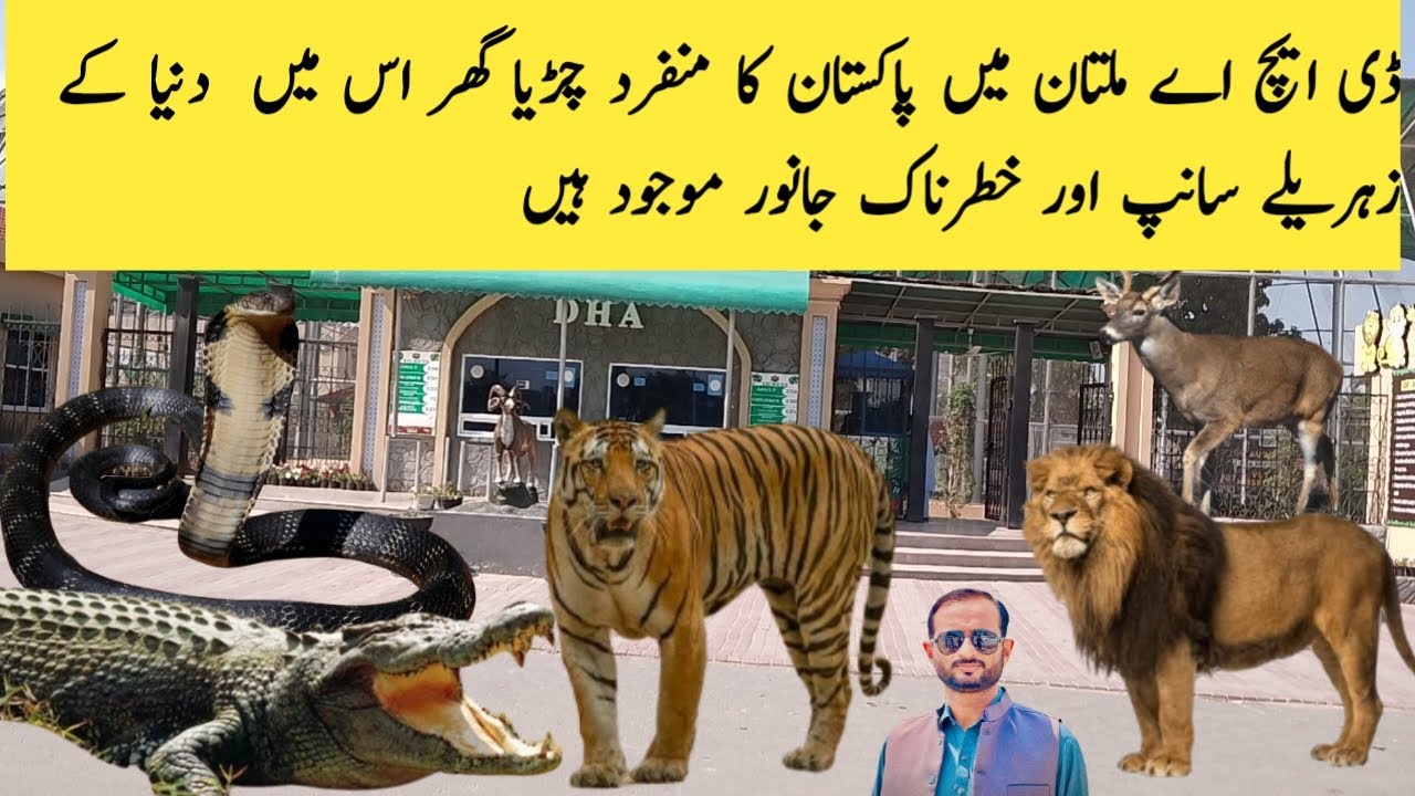 Snake Multan DHA ZOO MULTAN NEAR QADIRPUR FULL OF SNAKES ANIMAL AND BIRDS#desi # ...
