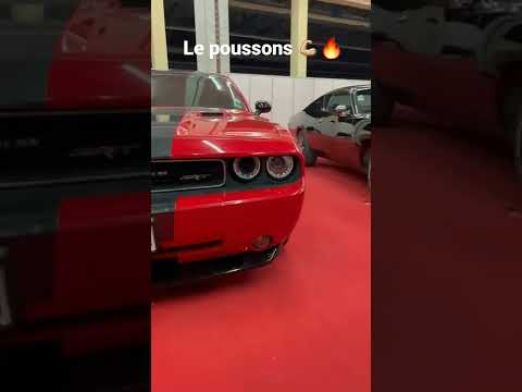 Algeria Cars Maserati DODGE BMW