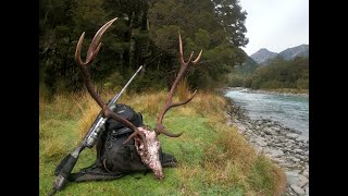 A Hunter's Stories  Red Deer & Chamois Hunting New Zealand