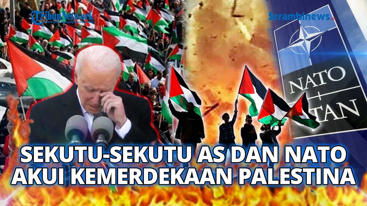 🔴 Sekutu AS & 2 Anggota NATO Akui Palestina hingga Negara Barat Pertama